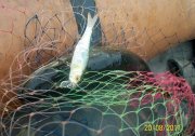 100_3154.jpg