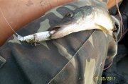 100_2748.jpg