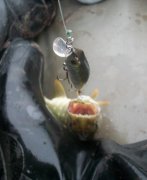 100_1232.jpg