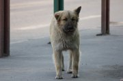 IMG_6496.jpg