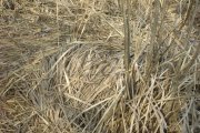 DSC05552.jpg