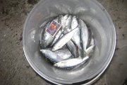 DSC05574.jpg