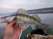100_2461.jpg