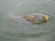 IMG_2790.JPG