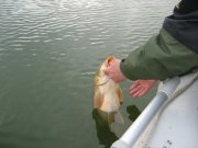 IMG_2795.JPG