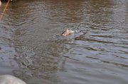 DSC_0787.jpg
