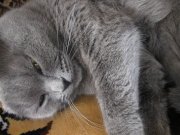 IMG_8530.jpg