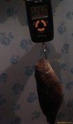 IMAG0167.jpg