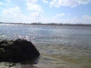 DSC00459.jpg