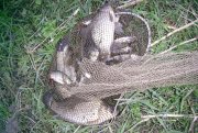 PIC_0554.jpg