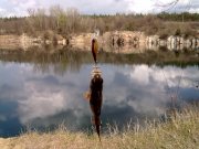 17042012118.jpg