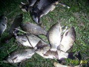 PIC_0559.jpg