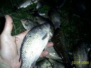 PIC_0560.jpg