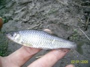 PIC_0556.jpg