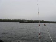 IMG_4370.jpg