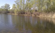 IMAG0750.jpg
