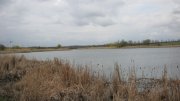 IMG_0820.jpg