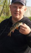 IMG_27-04-2012_082500.jpg