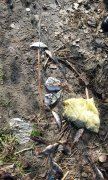 IMG_27-04-2012_085330.jpg