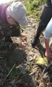 IMG_27-04-2012_085445.jpg