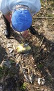 IMG_27-04-2012_085450.jpg