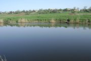 DSC05618.jpg