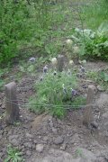 DSC05620.jpg