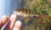 IMG_28-04-2012_154901.jpg