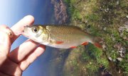 IMG_28-04-2012_160326.jpg