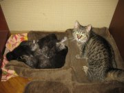 IMG_7186.JPG