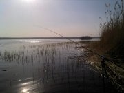 IMG_20120429_170334.jpg