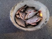 IMG_20120429_185552.jpg