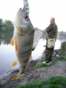28.04-2.jpg