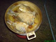 DSC00038.jpg