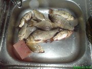 DSC00041.jpg