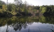 IMAG0754.jpg