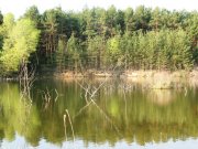 Изображение 076.jpg