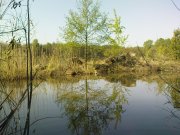 DSC05263.JPG