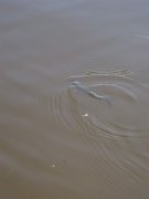 IMG_7188.jpg
