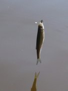 IMG_7190.jpg