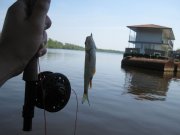 IMG_7201.JPG