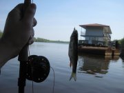 IMG_7202.JPG