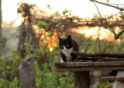 IMG_8329(ф).jpg