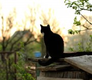 IMG_8323(ф).jpg