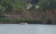 DSC07016+.JPG