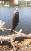 IMG_01-05-2012_120611.jpg