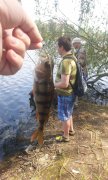 IMG_01-05-2012_134037.jpg