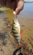 IMG_02-05-2012_133004.jpg