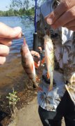 IMG_02-05-2012_154324.jpg