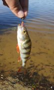 IMG_02-05-2012_162140.jpg